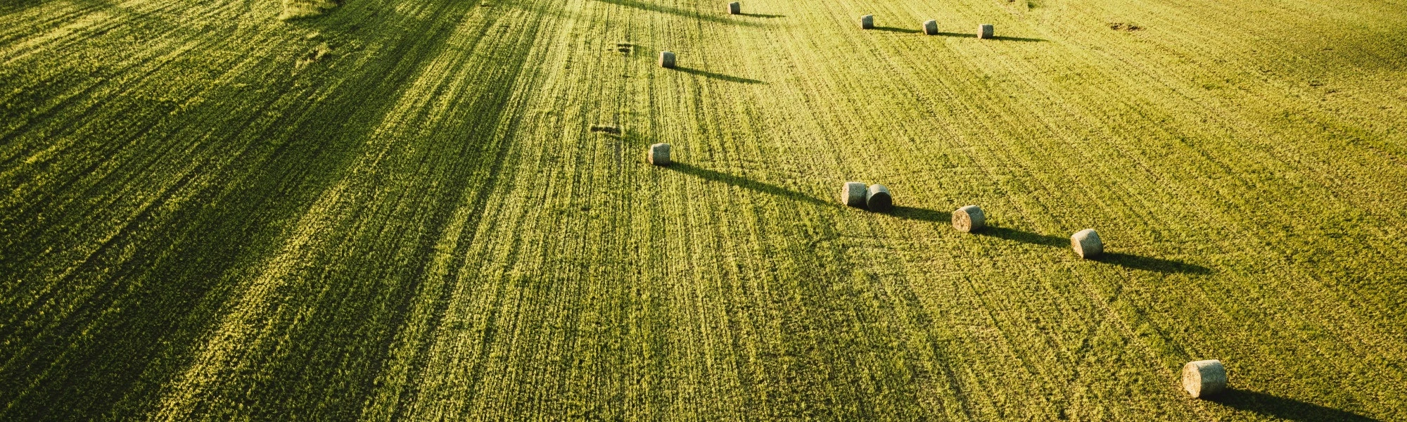 Gospodarstwo rolne o powierzchni ponad 120 hektarów